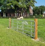 Poort, Poorten, IJzeren poort, Weidepoort, Hek, Weidepoort, Weidegang, Sales@veldomheiningen.nl, Schaijk, 4 paarden of pony's of meer