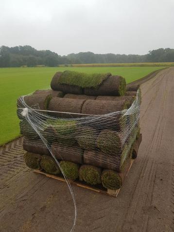 Graszoden grasmatten grasplaggen beschikbaar voor biedingen