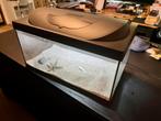 Fish Tank, Dieren en Toebehoren, Ophalen, Zo goed als nieuw, Leeg aquarium