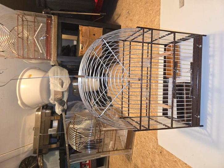 Surinaamse Picolet kooi met knoeibak, Dieren en Toebehoren, Vogels | Hokken en Kooien, Zo goed als nieuw, Vogelkooi, Hout, Ophalen of Verzenden