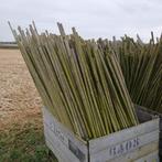 Te koop bamboe/tonkinstokken van 1,00 meter en 1,50 meter, Ophalen, Gebruikt, Minder dan 180 cm, Overige typen