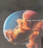 Lars Hamberger, Lennart Nilsson - Begin van een leven, Ophalen of Verzenden, Zo goed als nieuw, Zwangerschap en Bevalling