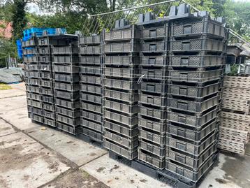 Ca 300 Transportkrat 60x40-16cm h. kunststof plastic stapel beschikbaar voor biedingen