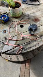 Riem en tuigje voor kat hond en cavia flexie classic xs, Ophalen, Zo goed als nieuw, Hondenriem