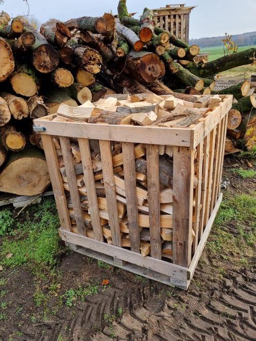 Beuken Haardhout, Ovengedroogd Brandhout, Tuin en Terras, Haardhout, Blokken, Beukenhout, 6 m³ of meer, Ophalen of Verzenden