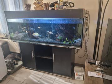 Aquarium 160*50*51 met onderkast beschikbaar voor biedingen