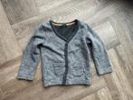 HEMA Vestje Sweater Maat 80 (9- 13M), Ophalen of Verzenden, Zo goed als nieuw, Jongetje of Meisje, Truitje of Vestje