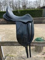 Graziozo Domenico, Dieren en Toebehoren, Paarden en Pony's | Zadels, Ophalen, Zo goed als nieuw, Dressuur