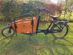 Vogue Carry 2 Elektrische Bakfiets | zo goed als nieuw, Fietsen en Brommers, Fietsen | Bakfietsen, 4 kinderen of meer, Carry 2