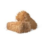 Gerste stro balen - fourage - stro - ruwvoer, Ophalen, Vee