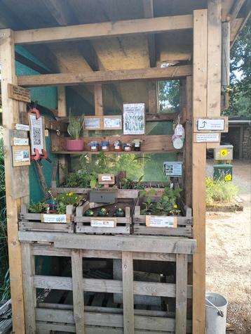 Kraam met planten, kamerplant, courget, jam etc beschikbaar voor biedingen