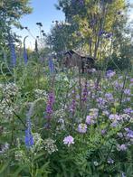 Ecologisch (tuin) advies en aanleg, Ophalen, Zomer, Volle zon