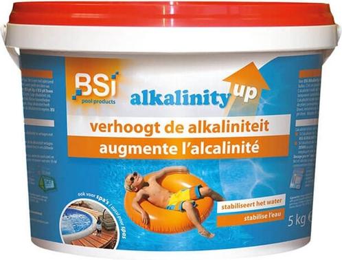 Alkaliniteit-plus poeder, Tuin en Terras, Zwembad-toebehoren, Nieuw, Reinigingsmiddel, Ophalen of Verzenden