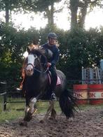 Aansprekende grote tinker merrie, Dieren en Toebehoren, B, Gechipt, 11 jaar of ouder, Recreatiepony