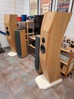 Master SEN / Serenity Luidsprekers, Audio, Tv en Foto, Luidsprekers, Zo goed als nieuw, 120 watt of meer, Front, Rear of Stereo speakers