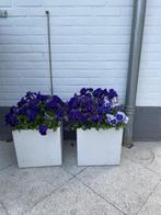 2 witte plantenbakken 30/30/30, Ophalen, Overige materialen, Minder dan 30 cm, Minder dan 60 cm