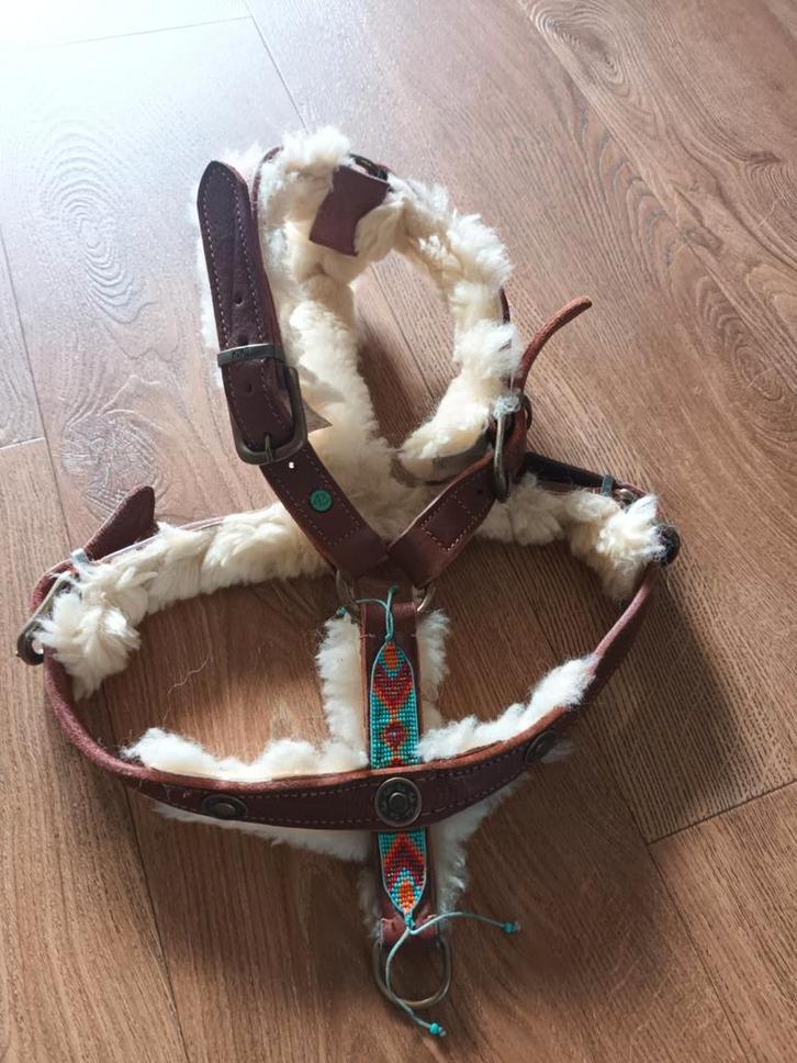 Hondentuig van DWAM, Dieren en Toebehoren, Honden-accessoires, Zo goed als nieuw, Ophalen of Verzenden