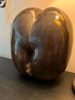 Coco de Mer.  34cm/1,8 kilo, Ophalen