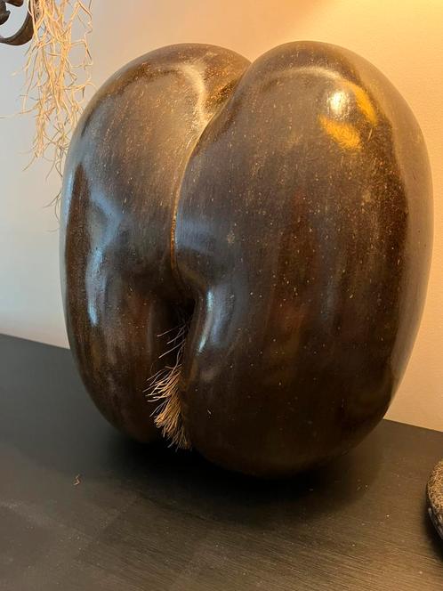 Coco de Mer.  34cm/1,8 kilo, Antiek en Kunst, Curiosa en Brocante, Ophalen