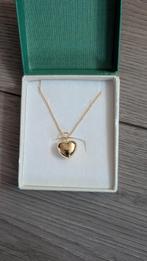 Nieuwe Gouden Ketting met Hart Hanger TK, Omg Gorinchem, Met hanger, Nieuw, Ophalen of Verzenden, Goud