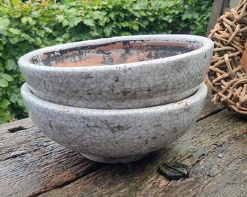Mooie bloempotten schalen pot beschikbaar voor biedingen