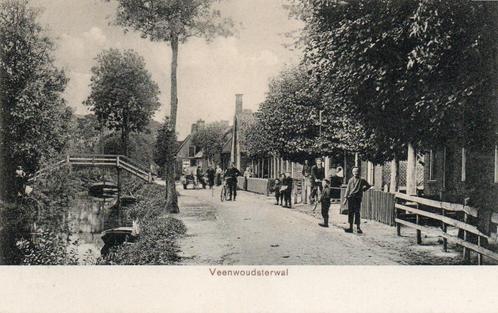 Veenwoudsterwal - Buurt met  Melkboer straathandel, Verzamelen, Ansichtkaarten | Nederland, Ongelopen, Friesland, Voor 1920, Ophalen of Verzenden