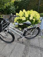 Giant Triple X damesfiets, Ophalen, Gebruikt, Versnellingen