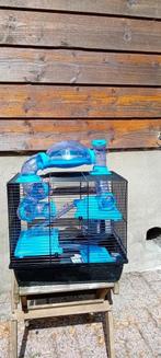 Uitgebreide hamsterkooi, Minder dan 60 cm, Kooi, Minder dan 75 cm, Ophalen of Verzenden