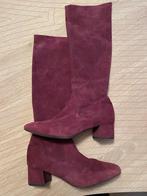 Peter Kaiser stretchlaarzen 40, Kleding | Dames, Schoenen, Peter Kaiser, Hoge laarzen, Ophalen of Verzenden, Zo goed als nieuw