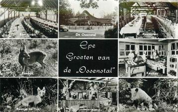 (387-105-001) Epe De Ossenstal beschikbaar voor biedingen