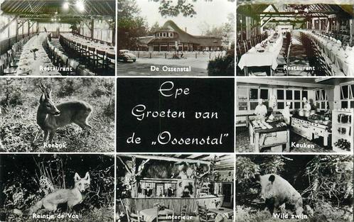 (387-105-001) Epe De Ossenstal, Verzamelen, Ansichtkaarten | Nederland, Gelderland, Verzenden