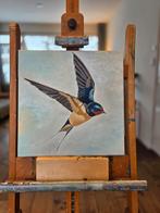 Schilderij van een gierzwaluw 40x40, Antiek en Kunst, Kunst | Schilderijen | Klassiek, Ophalen of Verzenden