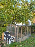 Lief konijnen gezin zoekt nieuw thuis., Dieren en Toebehoren, Meerdere dieren, Middelgroot