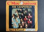 Single, The Grapefruit, Gebruikt, Verzenden, 7 inch, Single