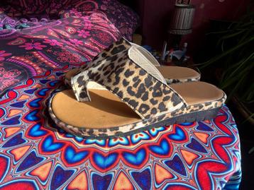 Leuke nieuwe luipaard sandalen maat 39 nu 17,99€ beschikbaar voor biedingen