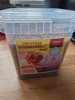 Drijvende vijverkorrels, Karper of Koi