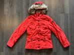 Falcon Ski Jas Dames - Maat: S, Kleding | Dames, Wintersportkleding, Falcon, Ophalen of Verzenden, Jack, Maat 36 (S)