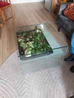 Glazen Salontafel met Plantenbak, Huis en Inrichting, Tafels | Salontafels, Ophalen