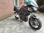 TDM 900, Particulier
