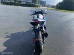 TRMOTOR GP one, Bedrijf, Sport, TRMOTOR