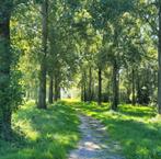 Tuinman/hovenier/tuinhulp aangeboden, Diensten en Vakmensen