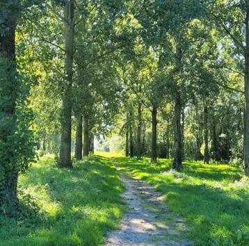 Tuinman/hovenier/tuinhulp aangeboden  beschikbaar voor biedingen
