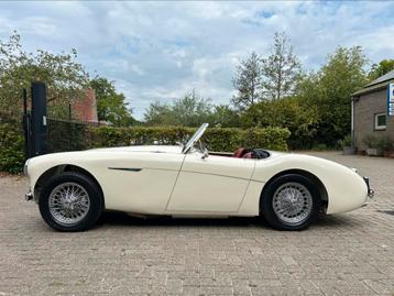 Austin Healey 100/4 BN2, 1956 beschikbaar voor biedingen
