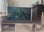 Samsung The Frame TV 43" inch, Ophalen, Zo goed als nieuw, 100 cm of meer, Samsung