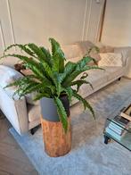 Varen in pot., Ophalen, Zo goed als nieuw