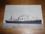 SS Duivendijk Holland America Line Scheepvaart Schip, Verzamelen, Ansichtkaarten | Themakaarten, Verzenden, Ongelopen, Voertuig