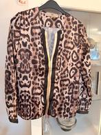 Luipaardprint Blouse - Maat L Goldie Estelle, Bruin, Maat 42/44 (L), Ophalen of Verzenden, Goldie estelle