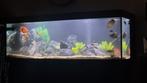 Fluval aquansky led, Ophalen, Zo goed als nieuw, Verlichting of Verwarming