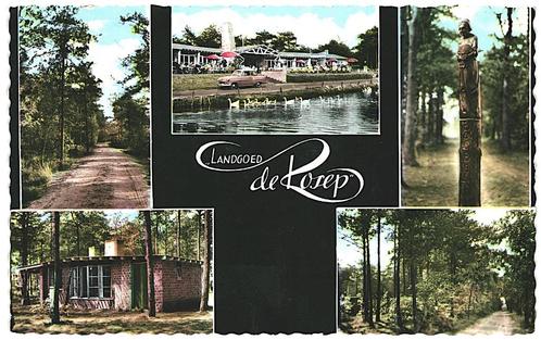 909186	Oisterwijk	N Br 1963 Bungalow Landgoed	de Rosep	Nette, Verzamelen, Ansichtkaarten | Nederland, Ongelopen, Noord-Brabant
