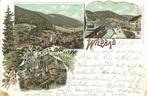 (379-119-025) Wildbad  Litho, Verzenden, Duitsland